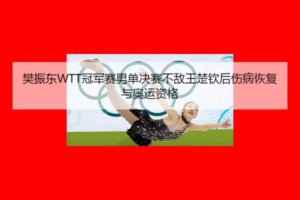 樊振东WTT冠军赛男单决赛不敌王楚钦后伤病恢复与奥运资格